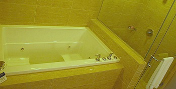hotels chicago with hot tub hotels chicago with hot tub