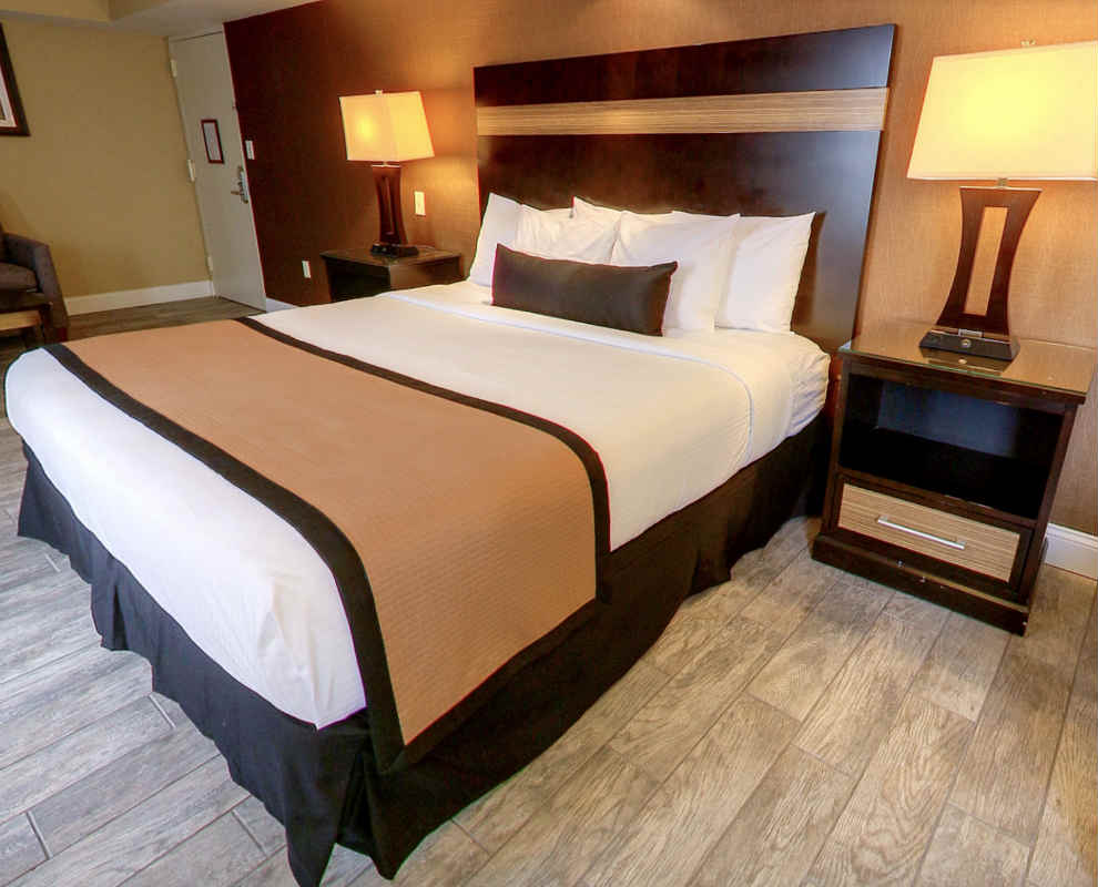 Room with a King Bed at the Best Western Newark Airport West
