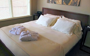 Bird Rock Hotel Bedroom