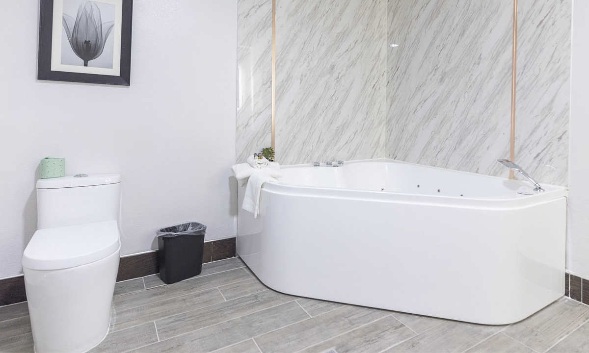 Whirlpool Suite at the Leo Collection Detroit Hotel