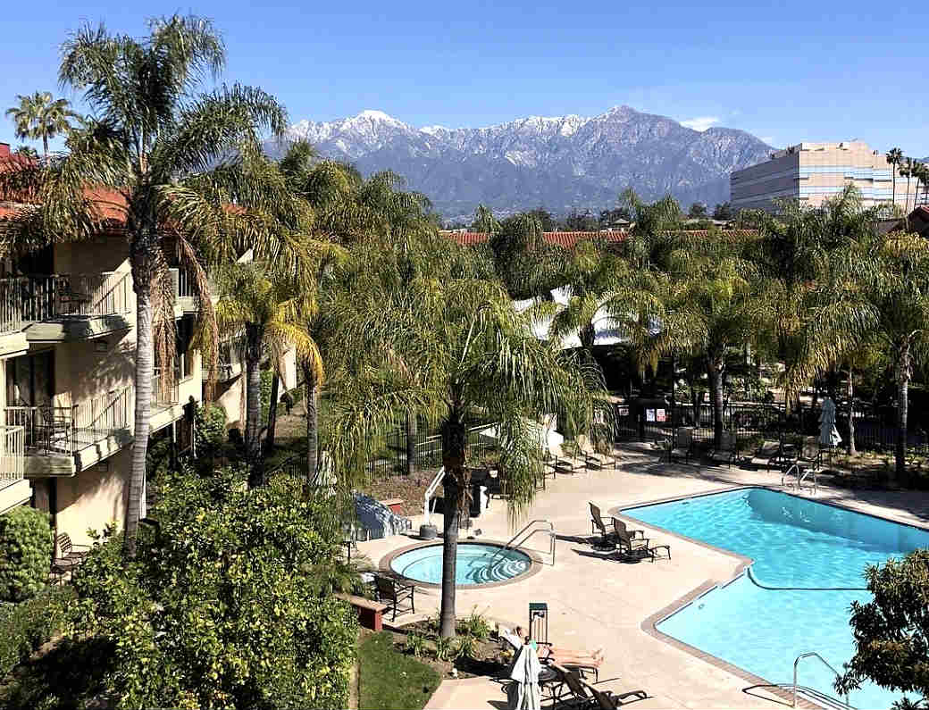 Pool and Palm Trees at the DoubleTree by Hilton Ontario Airport Hotel.