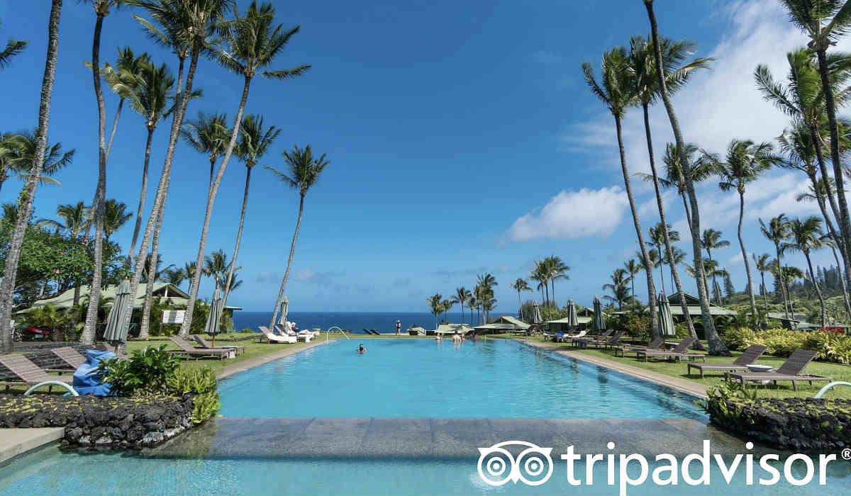 Palm Trees and Pool at the Hana Maui Resort