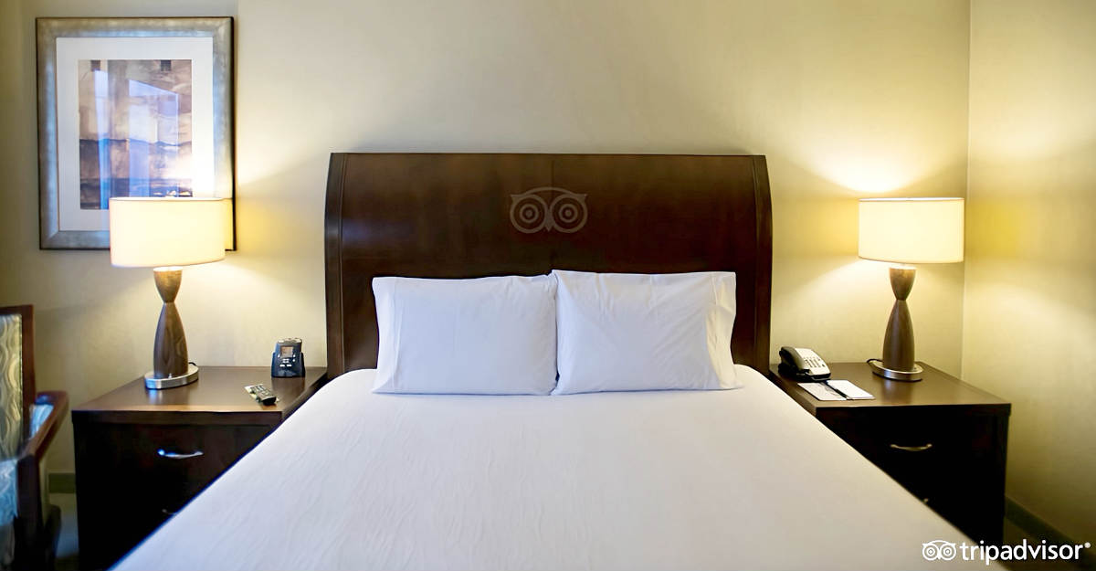 King Bed in a Room at Hilton Garden Inn New York Tribeca