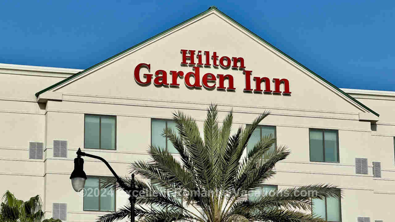 Palm Tree in Front of the Entrance to Hilton Garden Inn