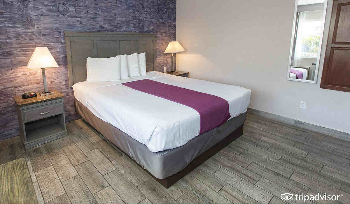 Hotel Iris King Bed Suite with Jetted Tub in San Diego, California