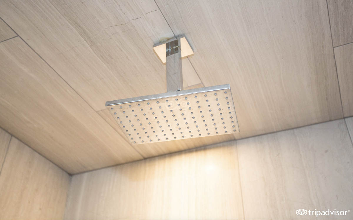 Rain Shower Head in the Walk-In Shower of a King Room at the Ivy Hotel in Chicago, Illinois