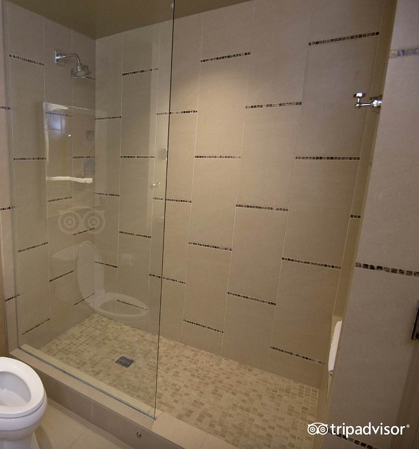 Hotel Showers for Two Luxury Suites With WalkIn Rain Showers