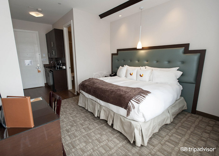 Romantic Room at the Condor Hotel in Brooklyn, New York