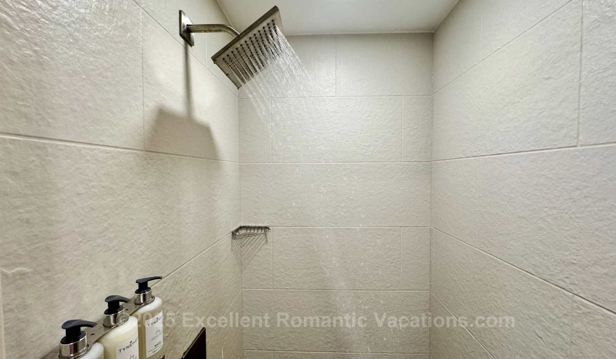 Rain Shower Head in a Hotel Room Walk-In Shower Rain Shower Head in a Hotel Room Walk-In Shower