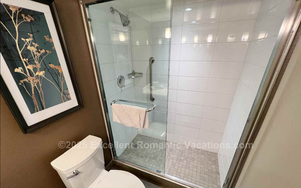 Spacious Walk-In Shower Large Enough for 2 Persons at the DoubleTree Hotel in Regina, SK