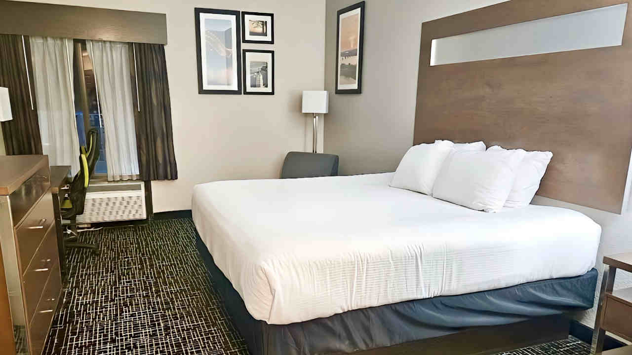 King Bed Room at Wingate by Wyndham, Memphis East, Tennessee